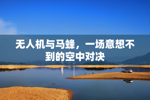 无人机与马蜂，一场意想不到的空中对决