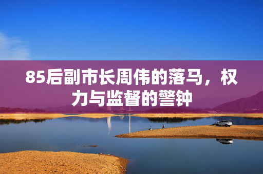 85后副市长周伟的落马，权力与监督的警钟