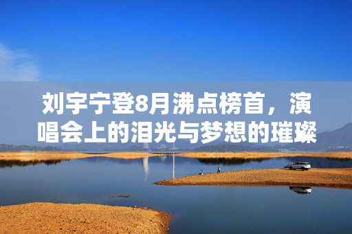 刘宇宁登8月沸点榜首，演唱会上的泪光与梦想的璀璨