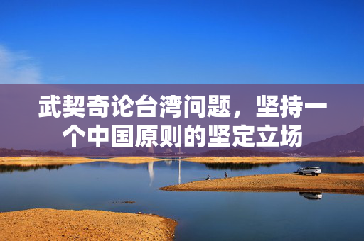 武契奇论台湾问题，坚持一个中国原则的坚定立场