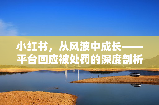小红书，从风波中成长——平台回应被处罚的深度剖析与未来展望