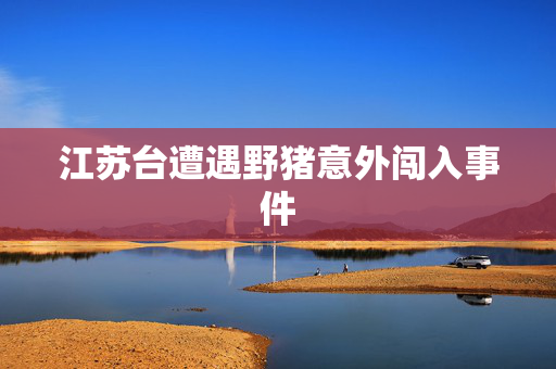 江苏台遭遇野猪意外闯入事件