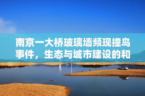 南京一大桥玻璃墙频现撞鸟事件，生态与城市建设的和谐之困