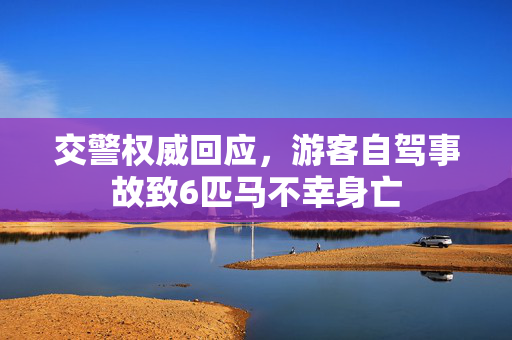 交警权威回应，游客自驾事故致6匹马不幸身亡