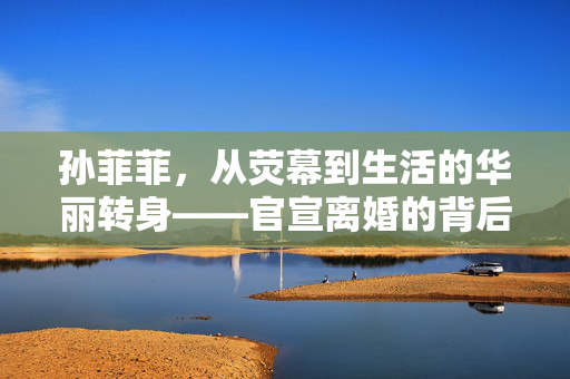 孙菲菲，从荧幕到生活的华丽转身——官宣离婚的背后
