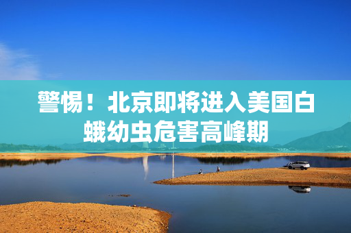 警惕！北京即将进入美国白蛾幼虫危害高峰期