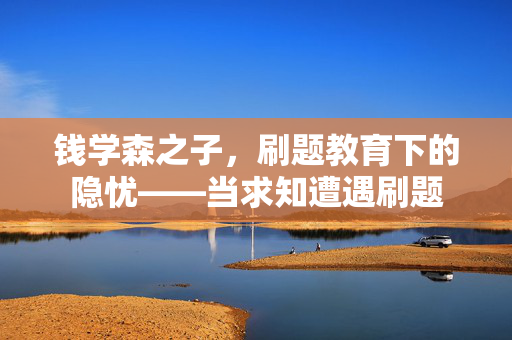 钱学森之子，刷题教育下的隐忧——当求知遭遇刷题