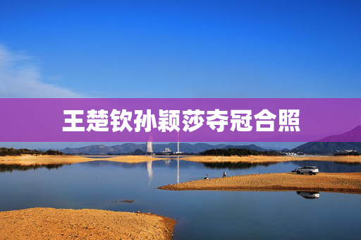 王楚钦孙颖莎夺冠合照