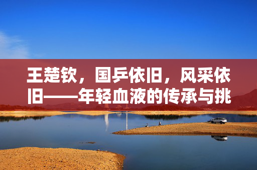 王楚钦，国乒依旧，风采依旧——年轻血液的传承与挑战
