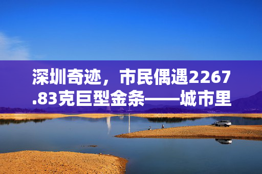 深圳奇迹，市民偶遇2267.83克巨型金条——城市里的非凡邂逅