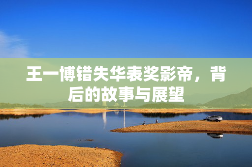 王一博错失华表奖影帝，背后的故事与展望