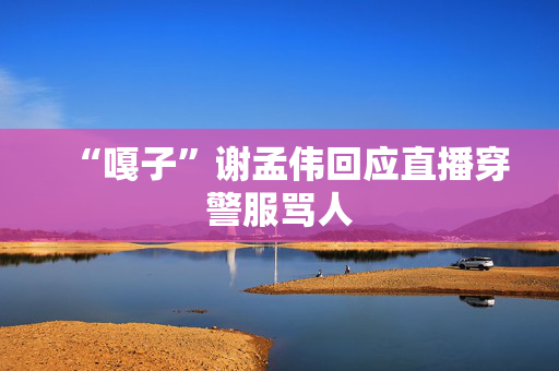 “嘎子”谢孟伟回应直播穿警服骂人