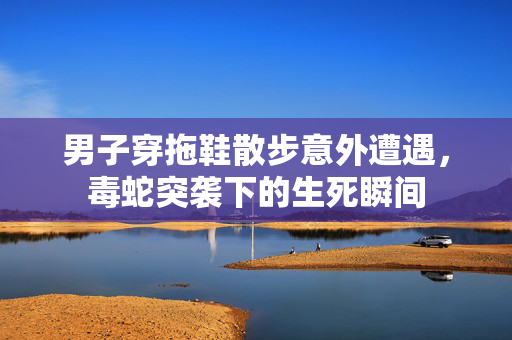 男子穿拖鞋散步意外遭遇，毒蛇突袭下的生死瞬间