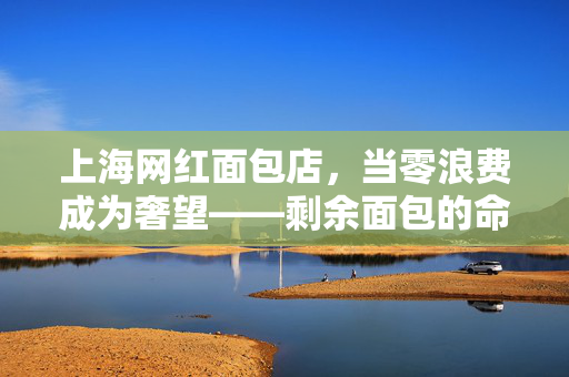 上海网红面包店，当零浪费成为奢望——剩余面包的命运之谜