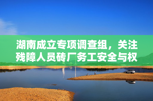湖南成立专项调查组，关注残障人员砖厂务工安全与权益——构建和谐劳动环境，共筑发展新篇章