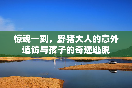 惊魂一刻，野猪大人的意外造访与孩子的奇迹逃脱