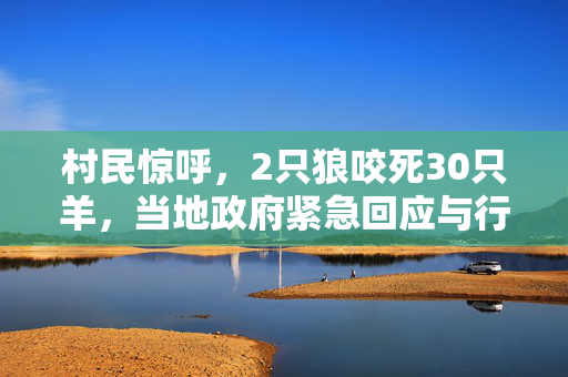 村民惊呼，2只狼咬死30只羊，当地政府紧急回应与行动