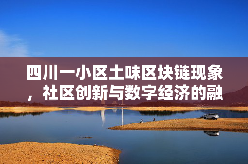 四川一小区土味区块链现象，社区创新与数字经济的融合探索