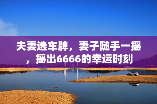 夫妻选车牌，妻子随手一摇，摇出6666的幸运时刻
