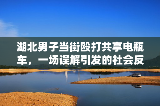 湖北男子当街殴打共享电瓶车，一场误解引发的社会反思