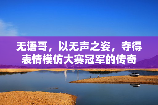 无语哥，以无声之姿，夺得表情模仿大赛冠军的传奇
