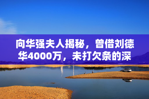 向华强夫人揭秘，曾借刘德华4000万，未打欠条的深厚情谊