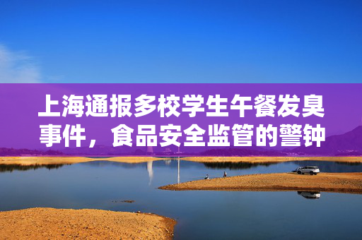 上海通报多校学生午餐发臭事件，食品安全监管的警钟与反思