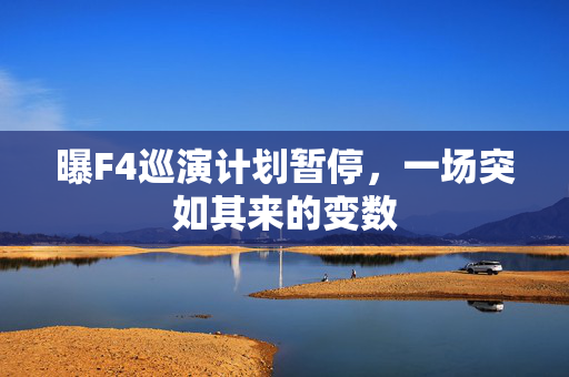 曝F4巡演计划暂停，一场突如其来的变数