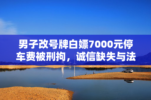 男子改号牌白嫖7000元停车费被刑拘，诚信缺失与法律威严的较量