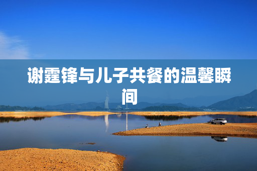 谢霆锋与儿子共餐的温馨瞬间
