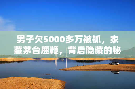 男子欠5000多万被抓，家藏茅台鹿鞭，背后隐藏的秘密