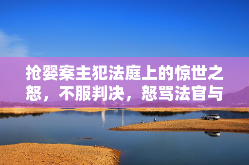 抢婴案主犯法庭上的惊世之怒，不服判决，怒骂法官与同伙的背后
