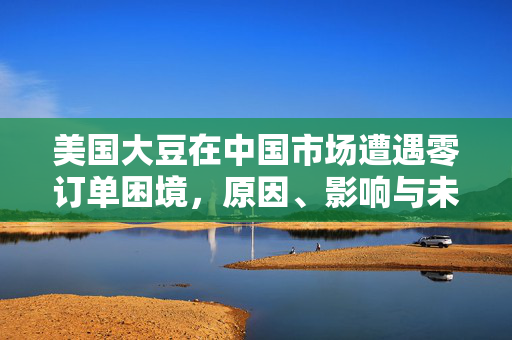 美国大豆在中国市场遭遇零订单困境，原因、影响与未来展望