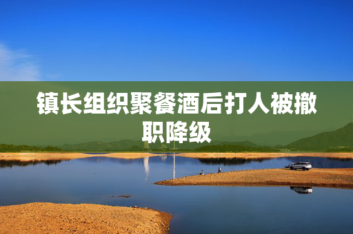 镇长组织聚餐酒后打人被撤职降级