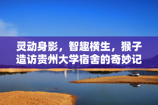 灵动身影，智趣横生，猴子造访贵州大学宿舍的奇妙记事