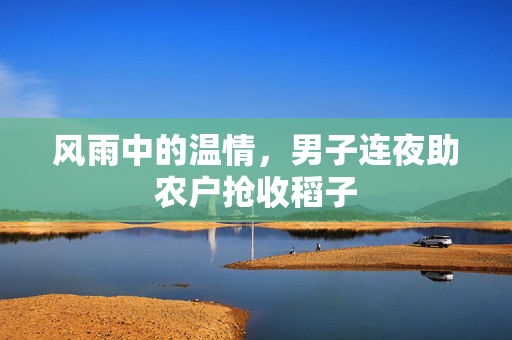 风雨中的温情，男子连夜助农户抢收稻子