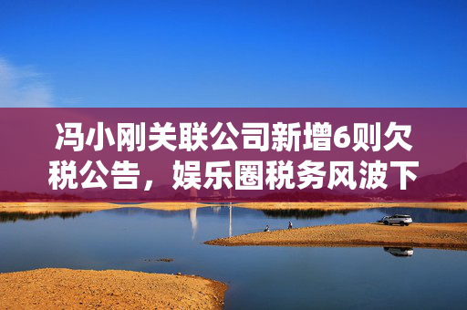 冯小刚关联公司新增6则欠税公告，娱乐圈税务风波下的明星企业责任审视