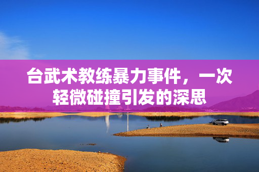 台武术教练暴力事件，一次轻微碰撞引发的深思