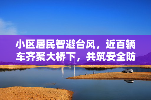 小区居民智避台风，近百辆车齐聚大桥下，共筑安全防线