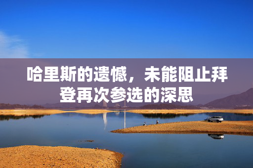 哈里斯的遗憾，未能阻止拜登再次参选的深思