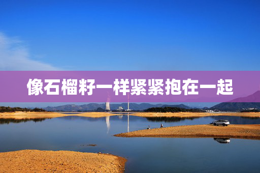 像石榴籽一样紧紧抱在一起