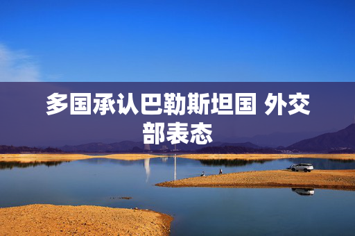 多国承认巴勒斯坦国 外交部表态