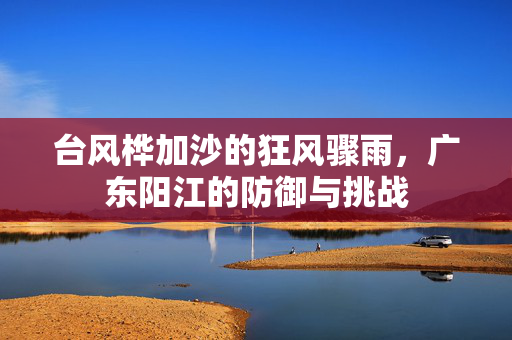 台风桦加沙的狂风骤雨，广东阳江的防御与挑战