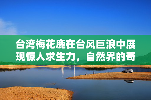 台湾梅花鹿在台风巨浪中展现惊人求生力，自然界的奇迹与坚韧