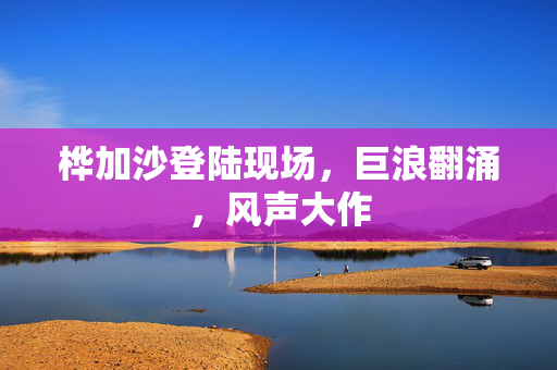 桦加沙登陆现场，巨浪翻涌，风声大作