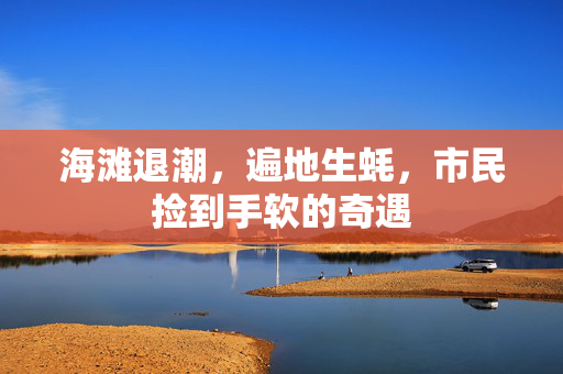 海滩退潮，遍地生蚝，市民捡到手软的奇遇