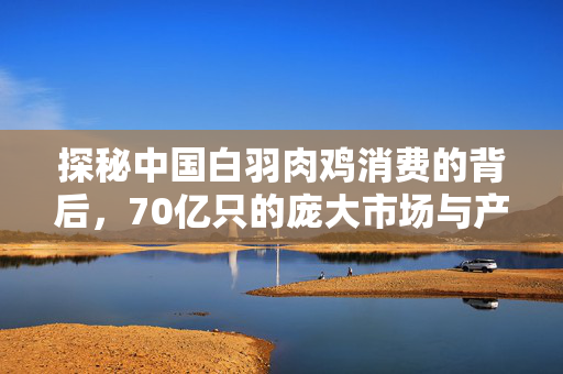 探秘中国白羽肉鸡消费的背后，70亿只的庞大市场与产业变迁