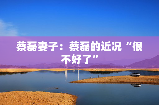 蔡磊妻子：蔡磊的近况“很不好了”