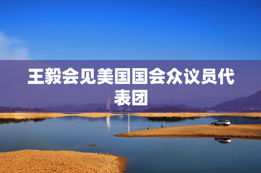 王毅会见美国国会众议员代表团