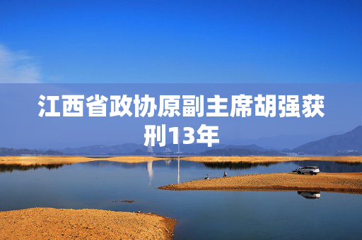 江西省政协原副主席胡强获刑13年